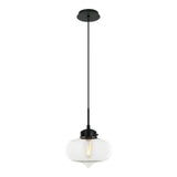 Irresistible Organic Charm Pendant Wide Drum Clear