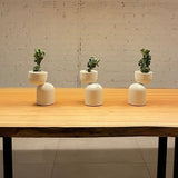 Ivy Ceramic Vase Cappuccino By Geo Contemporary