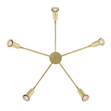 Jasper Chandelier - Polished Brass