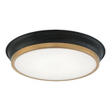 Jaxx Ceiling Mount 15 Inch Black + Aged Gold Brass