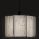 Kactos Pendant Light Matte Black Grey By LZF Lamps - With Light