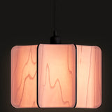 Kactos Pendant Light Matte Black Pale Rose By LZF Lamps - With Light