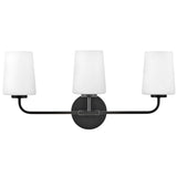 Kline Vanity Light 3 Light Black By Lark Living