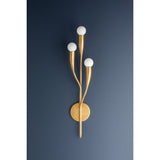 Labra Wall Sconce by Hudson Valley