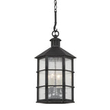 Lake County Lantern by Troy Lighting