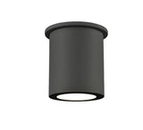 Lamar Outdoor Flushmount