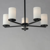 Lateral Chandelier Black by Maxim Lighting