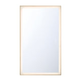 Lenora LED Mirror 54 Inch Gold Finish By Eurofase