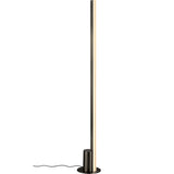 Leora Floor Lamp Satin Dark Grey By Page One