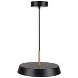 Lexi LED Pendant Light Medium Black By Artcraft Side View