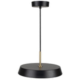 Lexi LED Pendant Light Small Black By Artcraft Up View