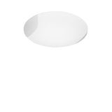 Lio Wall/Ceiling Light