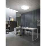 Lio Wall/Ceiling Light