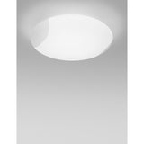 Lio Wall/Ceiling Light