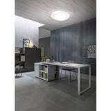Lio Wall/Ceiling Light