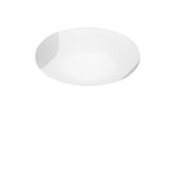 Lio Wall/Ceiling Light