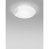 Lio Wall/Ceiling Light