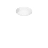 Lio Wall/Ceiling Light