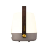 Lite-Up 2.0 Battery Table Lamp - Earth, side view with handle