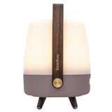 Lite-Up Play Mini JBL Battery Table Lamp Earth By Kooduu - Side View
