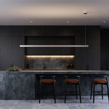 Lithe 2 Sided Linear Pendant Natural Anodized Extra Large By Sonneman Lifestyle View