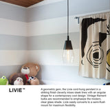 Livie Small Single Light Convertible Pendant