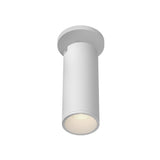 Lorna Adjustable Ceiling Mount — 9 Inch (3 Inch Dia.), White