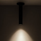 Lorna Black Ceiling Mount 12 Inch 2 Diameter By Kuzco Lifestyle View