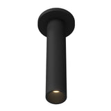Lorna Black Ceiling Mount — 12 Inch / 2 Inch