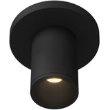 Lorna Black Ceiling Mount 4 Inch 2 Diameter By Kuzco
