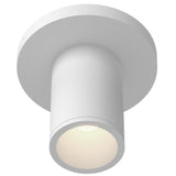 Lorna White Ceiling Mount White By Kuzco