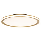 Lucerio Flush Mount By Page One With Light