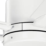 Lucian Ceiling Fan