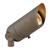 Accent Spot Light 120V