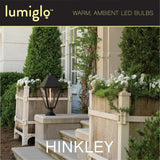 LumiGlo Bulb LED Bulb 4 Pack