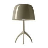 Lumiere Nuances Table Lamp By Foscarini, Finish: Creta, Size: Small, , | Casa Di Luce Lighting