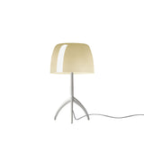 Lumiere Table Lamp By Foscarini, Size: Small, Finis: Aluminum, Color: Warm White, , | Casa Di Luce Lighting