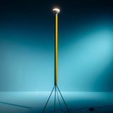 Luminator Floor Lamp By Flos - Lifestyle View35
