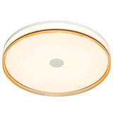 Luna Flush Mount By PageOne