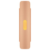 Lupe Wall Sconce