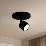 Lyra Track Lights — Track Lights