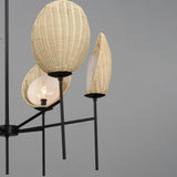 Maldives Chandelier by Maxim Lighting