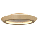 Maple Petra Ceiling Light with White Stone Accent by Accord
