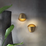 Matte Gold Enoki Wall Sconce by Penta