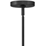 Maude Pendant Light Black By Lark Living - Detailed View1
