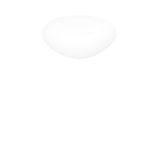 Mia PP 60 Wall/Ceiling Light