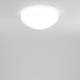 Mia PP 60 Wall/Ceiling Light