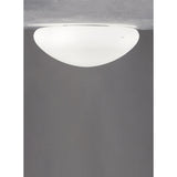 Mia PP 60 Wall/Ceiling Light
