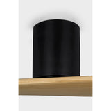 Midnight Black Housing with Natural Honey Blades Plank Smart 52" Hugger Ceiling Fan by Visual Comfort Fans