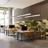 Modula Double Suspension